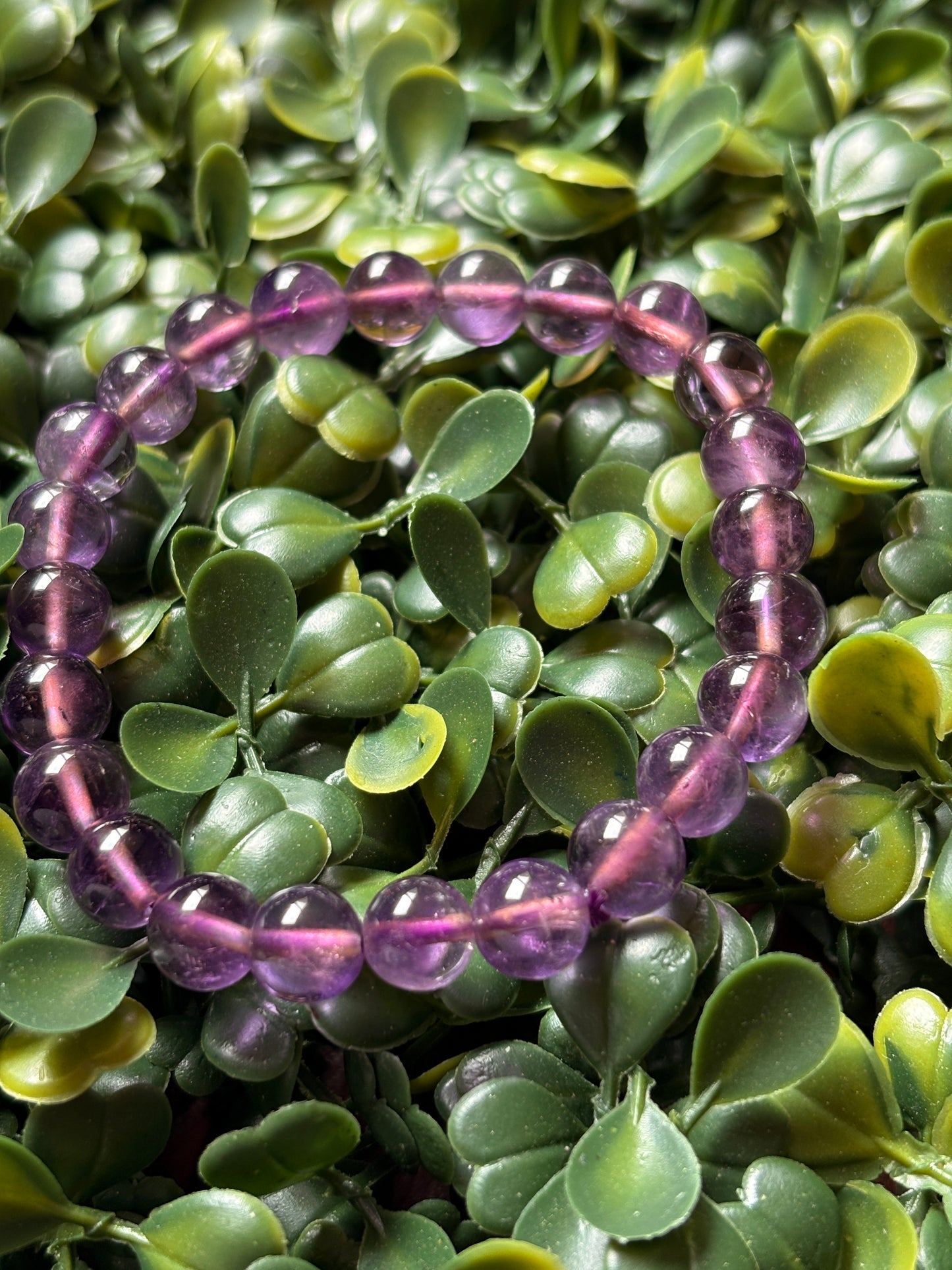 Amethyst✨