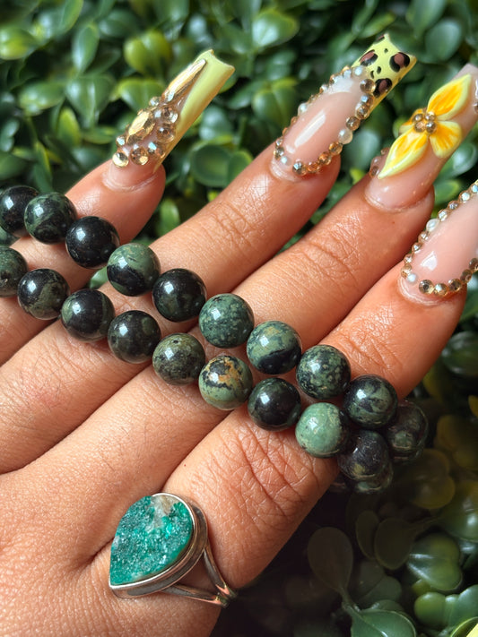 Kambaba Jasper🌿